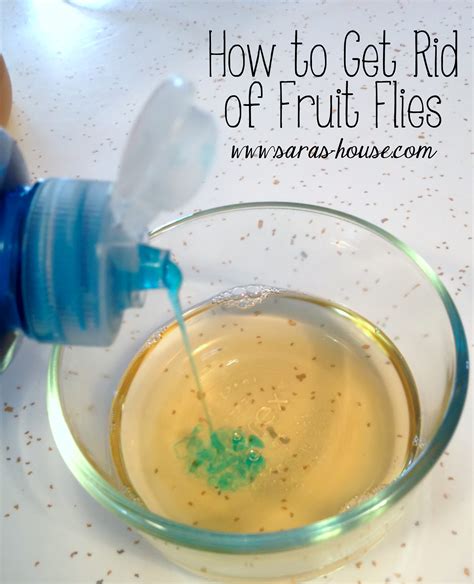 Use Fruit Fly Sprays, Lights, and Traps. There are a few different methods that you can choose from to get rid of fruit flies. You can get rid of the adult fruit flies with a contact spray or a fogger, you can use disposable fruit fly traps or you can use fly lights. Pro Tip. In homes and businesses where fruit flies have been a consistent ... 